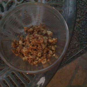 Chicken Adobo