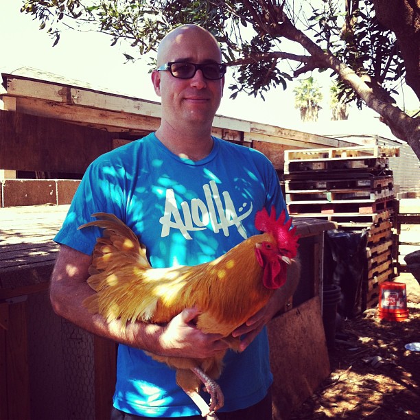 Aloha T-Shirt Adoboloco Rooster