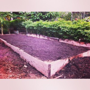 adoboloco seed planting in garden bed