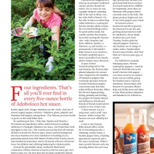 hawaii magazine with adoboloco