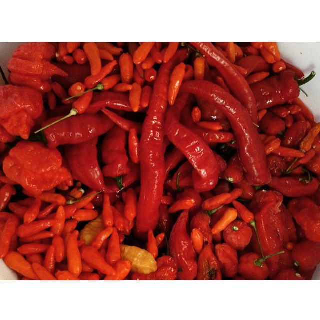 Adoboloco hot sauce
